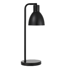 Pivot Iron Gooseneck Desk Lamp